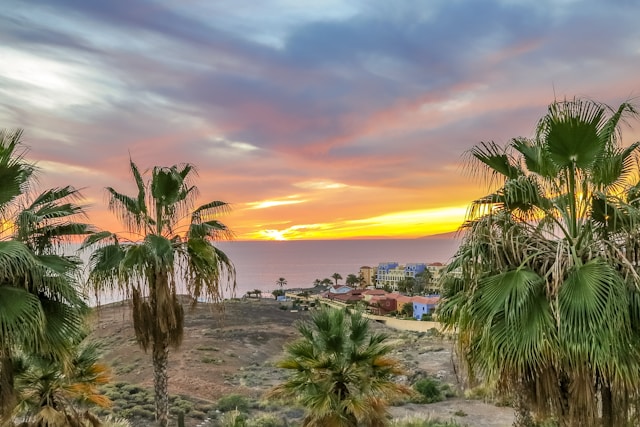 Qué ver en Tenerife lugares imprescindibles y rutas por zonas
